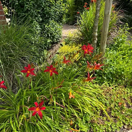 Gästezimmer Am Haarhaus Apartment