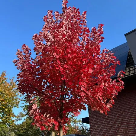 Gästezimmer Am Haarhaus * Ostbevern