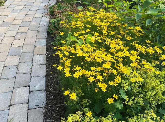 Gaestezimmer Am Haarhaus Lejlighed *