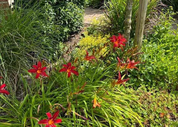 Gaestezimmer Am Haarhaus شقة
