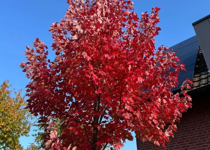 Gaestezimmer Am Haarhaus * Ostbevern
