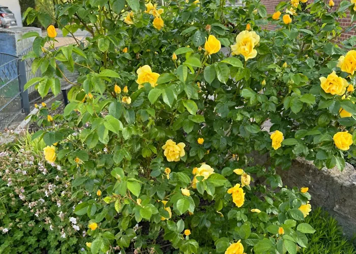 Gaestezimmer Am Haarhaus * Ostbevern